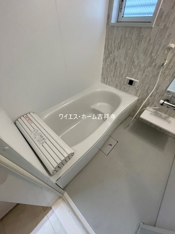 マリポーサ・ブランカ その他15