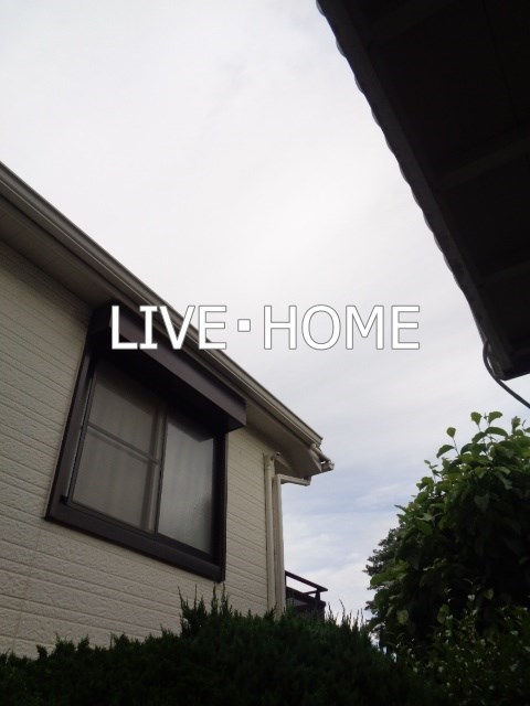 その他15