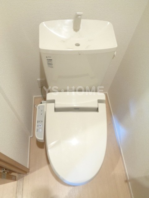 プリムローズ その他1
