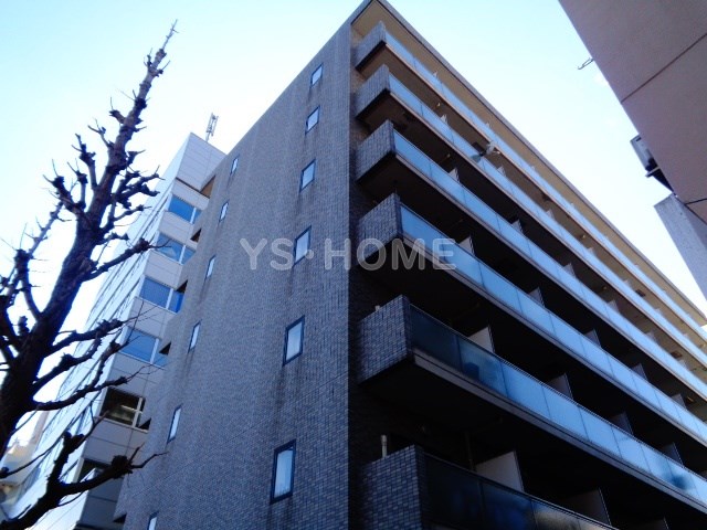 その他11