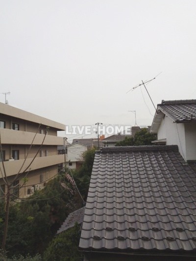 その他16