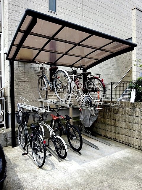 カプリコーンセレス  その他7