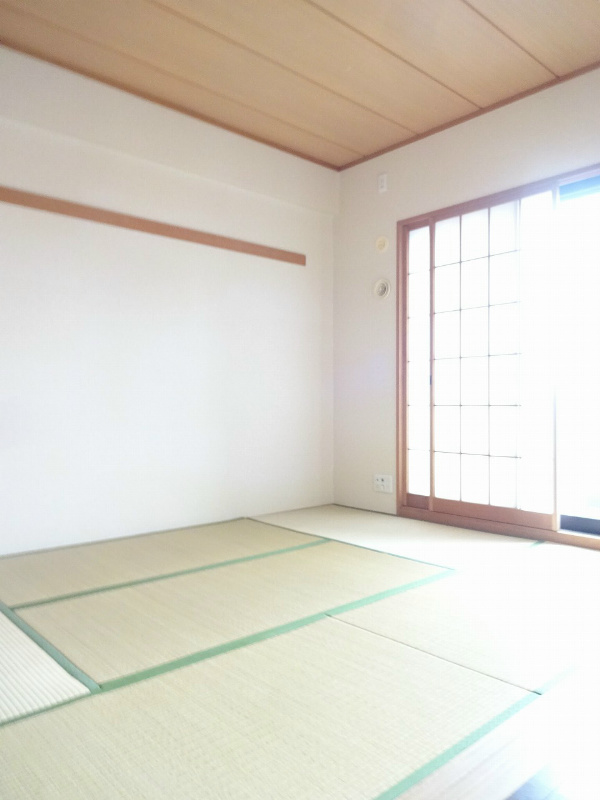 その他6