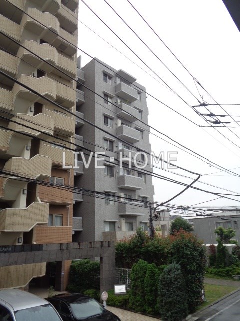 その他15