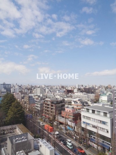 その他11