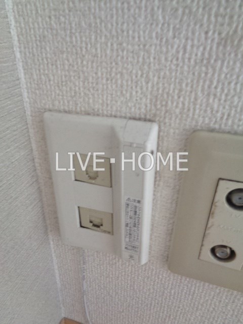 その他25