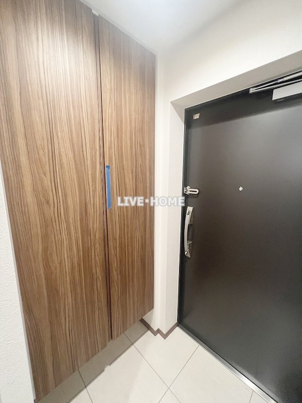 その他11