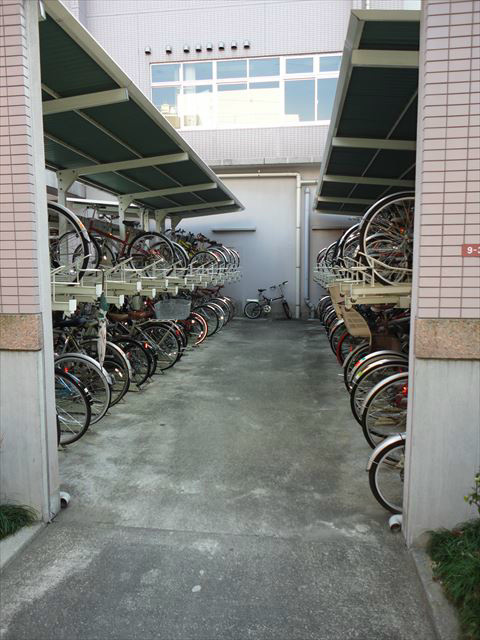 その他11