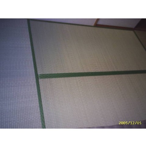 その他11
