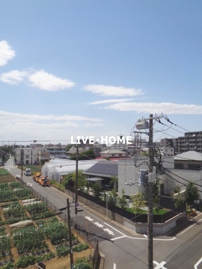 その他11