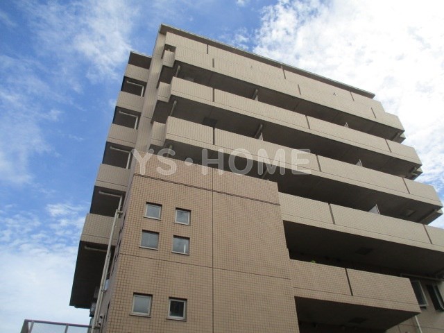 その他11