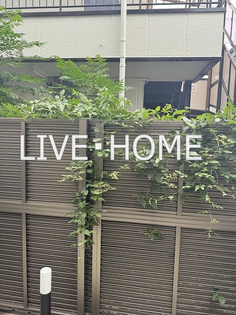 その他11