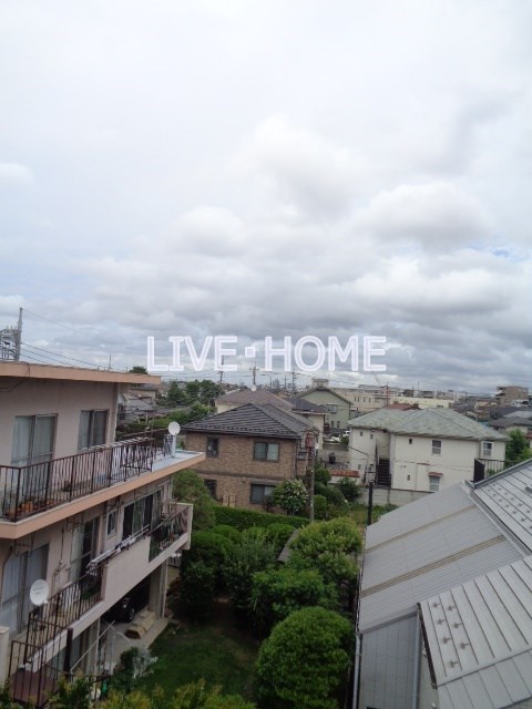 その他24