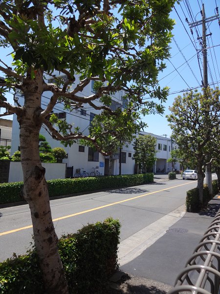 Lavie武蔵野 ベランダ