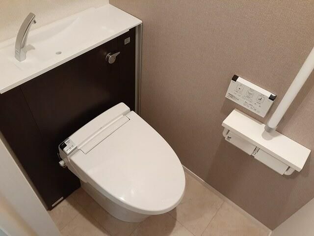 シオン  その他2