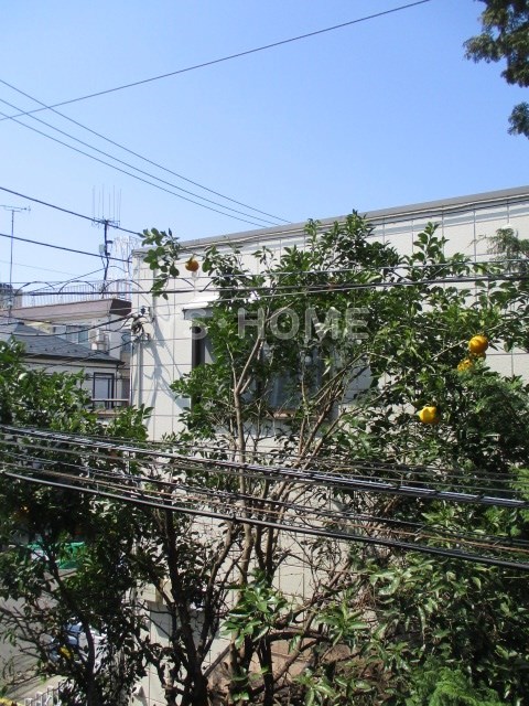 その他8