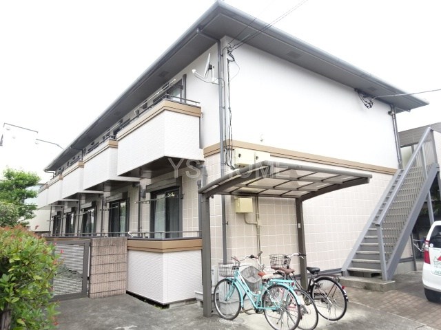 その他11