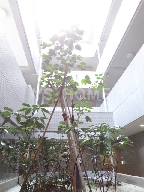 コンフォリア西荻北 その他23