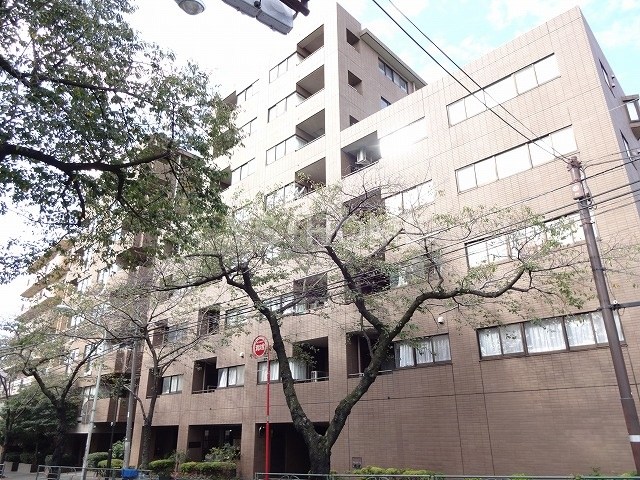 インテグラーレ哲学堂 その他10