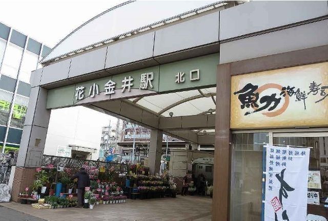 サクセス　ツリー　Ⅰ その他外観6