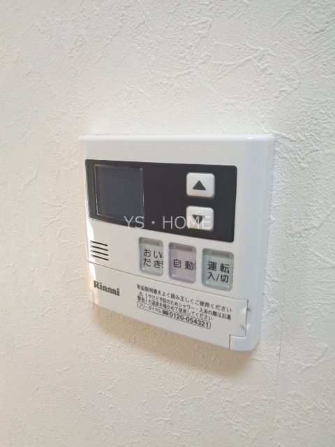 Buena VistaIOGI その他4