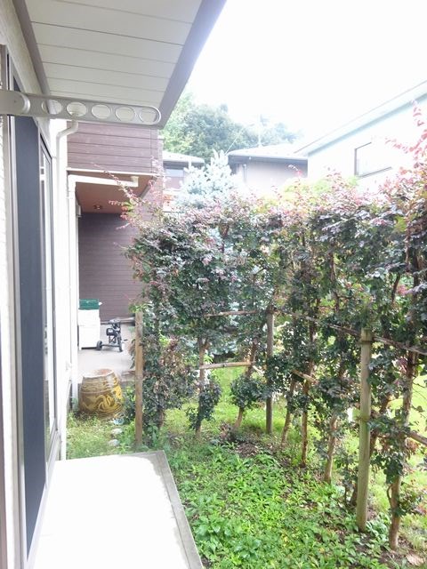 Garden Home Kobushi  ベランダ