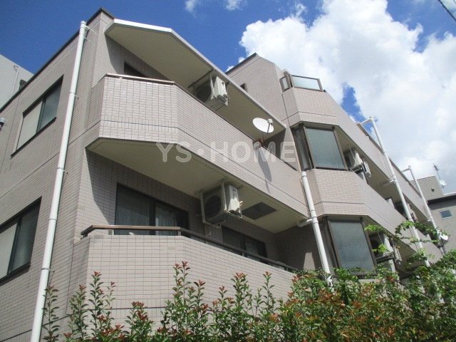 その他11
