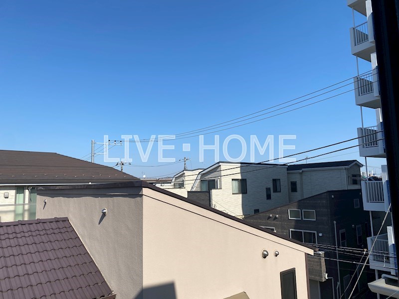 その他29