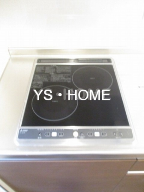 Regulus1 その他15