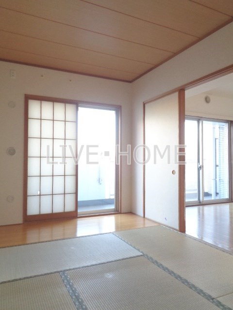 その他12