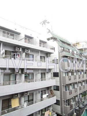 その他11
