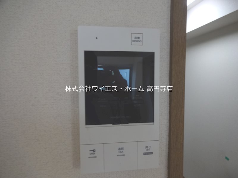 エヴァーグリーン その他1