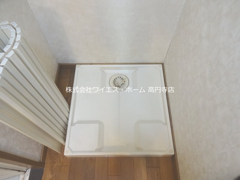 エヴァーグリーン その他6