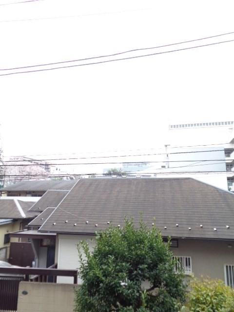 その他31
