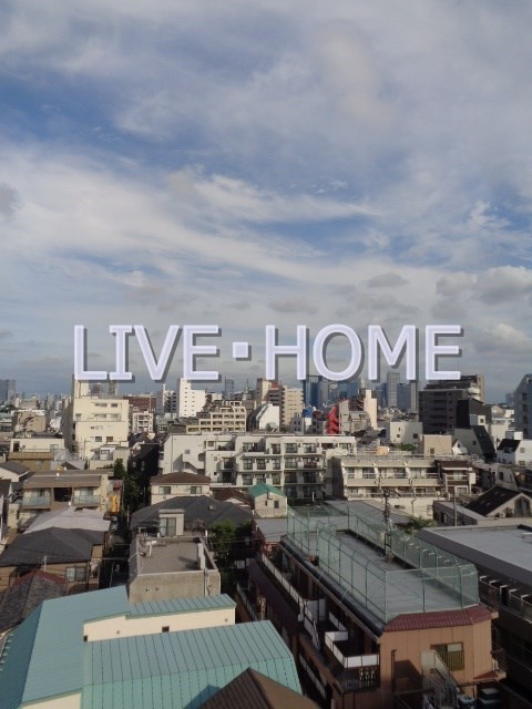 その他13