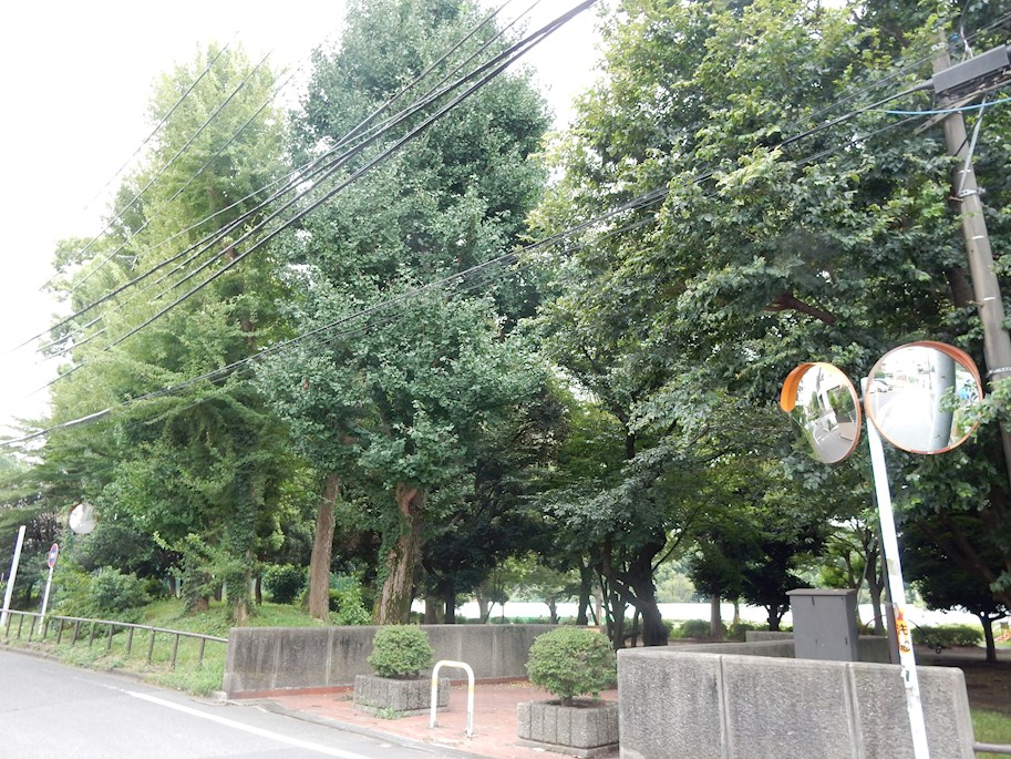 パークホームズ杉並善福寺川緑地 周辺画像1