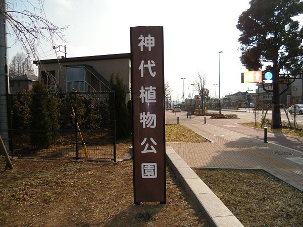 フォレスト深大寺B 周辺画像1