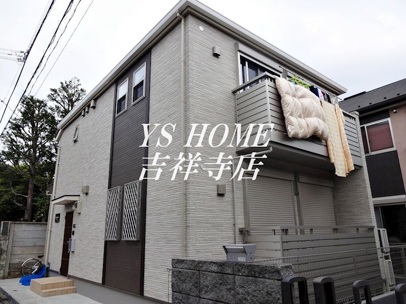 Ficus-retusa 外観