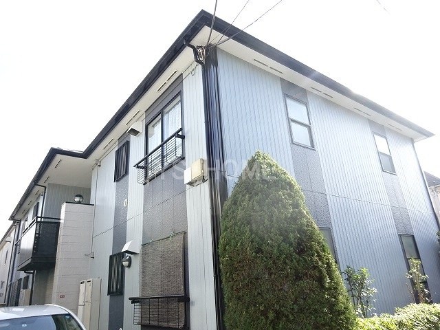 その他11