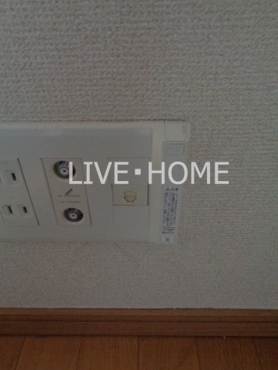 その他11