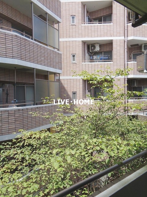 その他15
