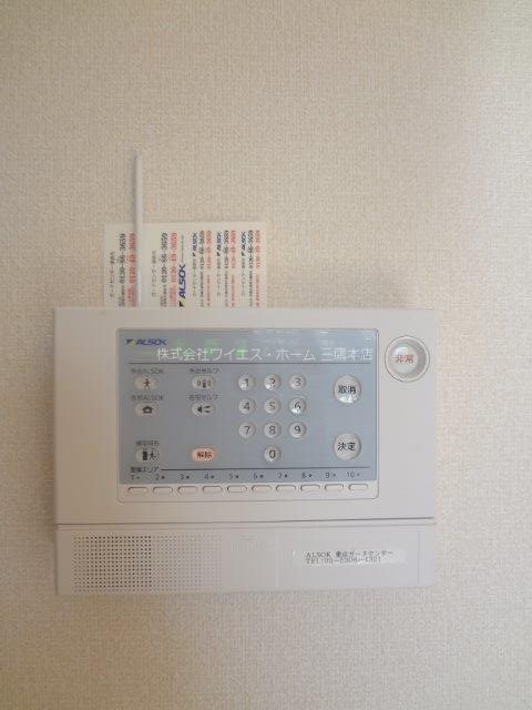 マグノリア  その他3