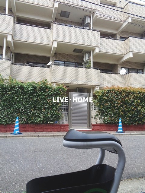 その他11