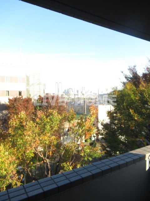 その他25