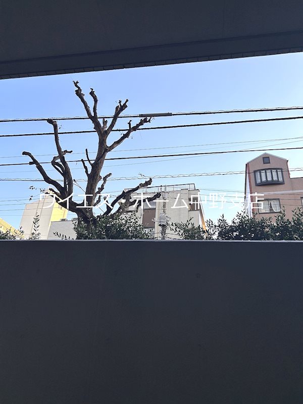 レジディア杉並方南町 その他6