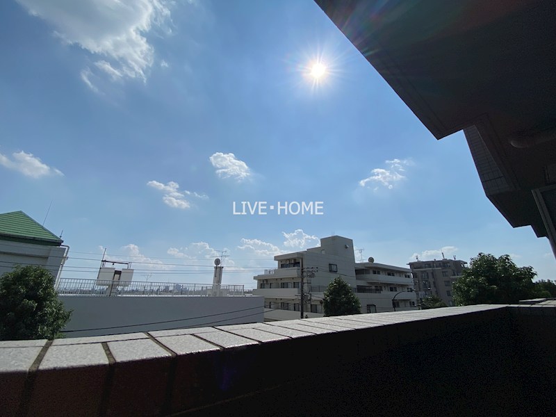 その他11
