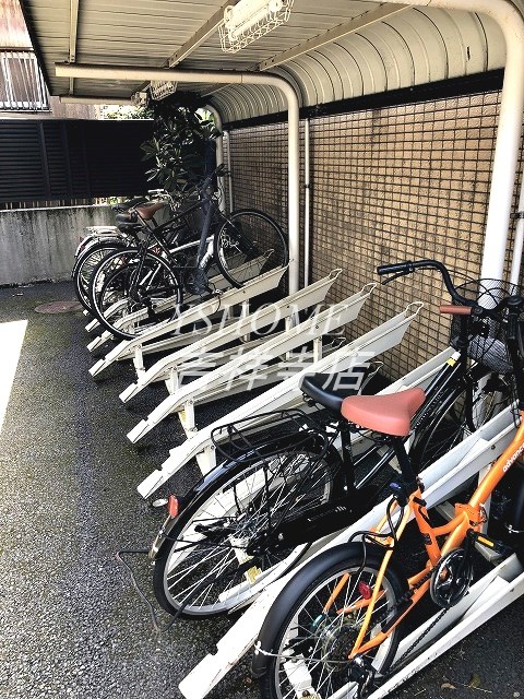 アカンサス その他1
