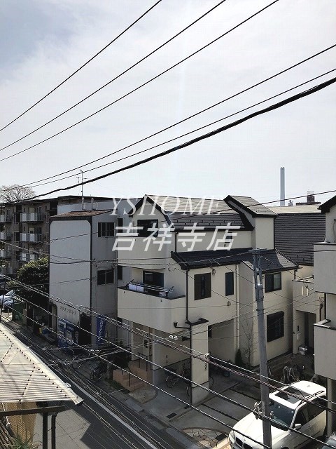 アカンサス その他6