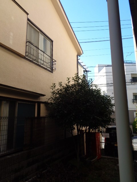 その他13