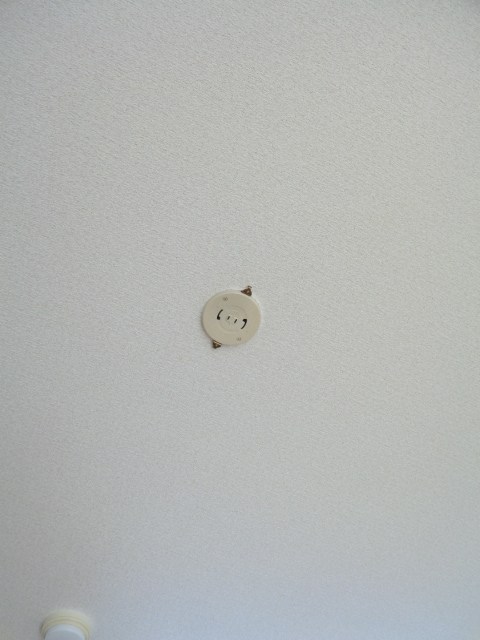 その他14